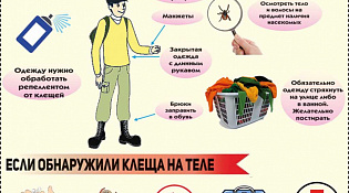 Памятки по защите от  клещей